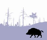 vector silhouette of the wild boar