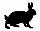 vector illustration hare on white background