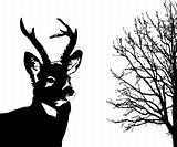 silhouette of the deer on white background