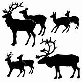 vector silhouette of the deers on white background