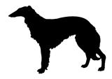 vector silhouette collie on white background