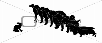 vector silhouette hunt dogs and rabbit on white background