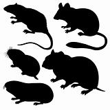 vector silhouettes rodent on white background