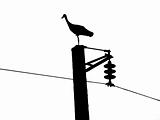 vector silhouette of the crane on electric pole