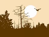 vector silhouette old wood on brown background