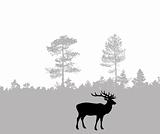 silhouette of the deer