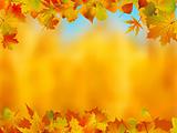 Autumn leaves border for your text.
