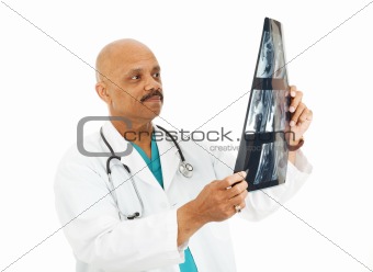 Doctor Examining X-Rays