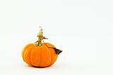 Small orange pumpkin with whimsical, curly stem and leaf