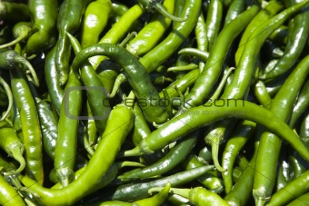 Green peppers
