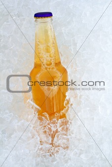 Beer bottle on ice fresh frosted glass
