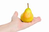  pear on palm