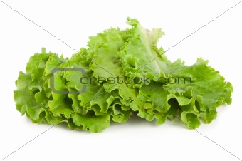 Leaves lettuce