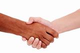 handshake, between a white and a black young man,