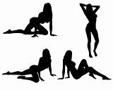Sexy Woman Silhouette's
