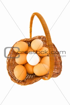 Stand out from crowd concept with eggs