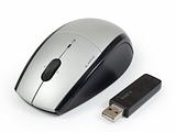 Wireless mouse with usb adapter.