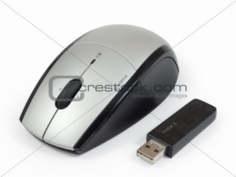 Wireless mouse with usb adapter.