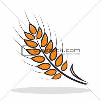 Orange abstract wheat