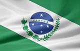 Flag of Parana - Brazil