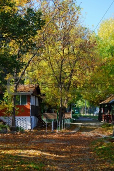 Autumn in village