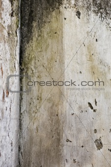 moldy wall