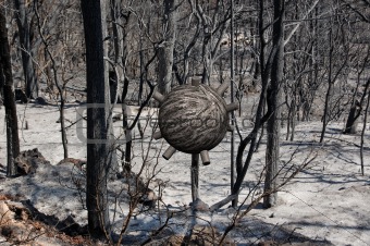 sphere in burned forest