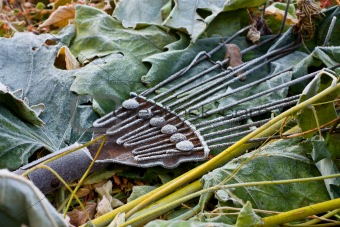 frost covered garden tool