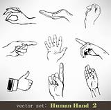 Vector set: Human Hand 2