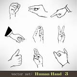 Vector set: Human Hand 3