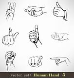 Vector set: Human Hand 5