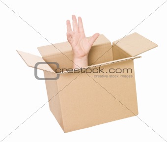 Hand in cardboard box