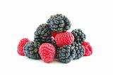  raspberry and blackberry