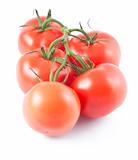 Ripe tomatoes on branch