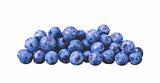 blueberry isolated over a white background 