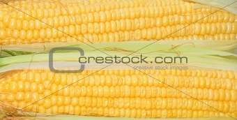 Sweet tasty corn background 