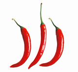 hot chili peppers isolated on white background