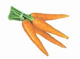 Fresh tasty carrots isolated on white
