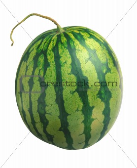 fresh sweet watermelon isolated on white