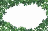 parsley frame background for your text