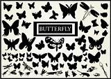 Butterfly - vector collection