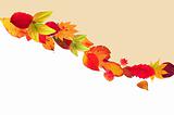 autumn card with colorful leaves