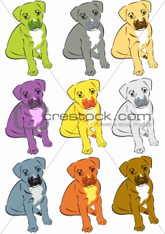 Colorful dogs