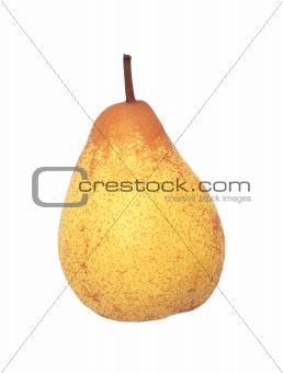 tasty fresh pear isolated on white