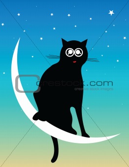 cat at the moon