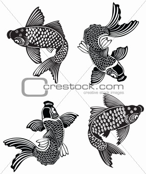 Koi fishes