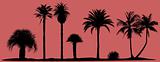 vector palm trees silhouettes