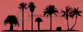 vector palm trees silhouettes