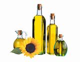 sunflower and glass bottle oil isolated on white