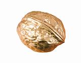 Golden walnut nut isolated on the white